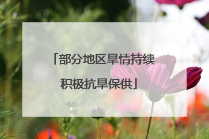 部分地区旱情持续 积极抗旱保供